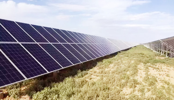 管理團(tuán)隊(duì)