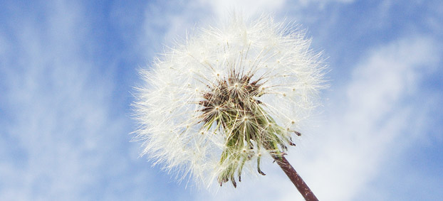 社會(huì)責(zé)任